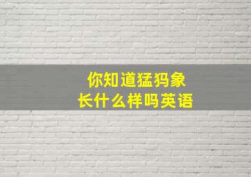 你知道猛犸象长什么样吗英语