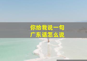 你给我说一句广东话怎么说