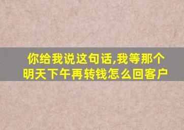 你给我说这句话,我等那个明天下午再转钱怎么回客户