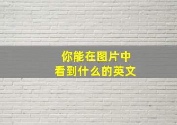 你能在图片中看到什么的英文