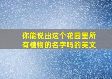 你能说出这个花园里所有植物的名字吗的英文