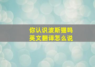 你认识波斯猫吗英文翻译怎么说