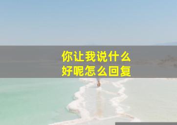 你让我说什么好呢怎么回复