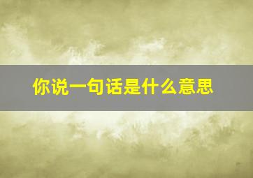 你说一句话是什么意思