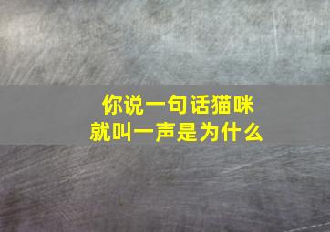 你说一句话猫咪就叫一声是为什么