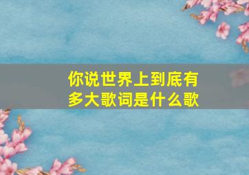 你说世界上到底有多大歌词是什么歌