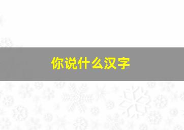 你说什么汉字