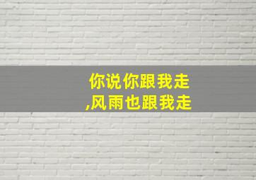 你说你跟我走,风雨也跟我走