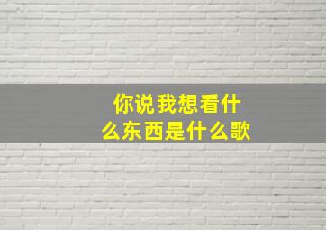 你说我想看什么东西是什么歌