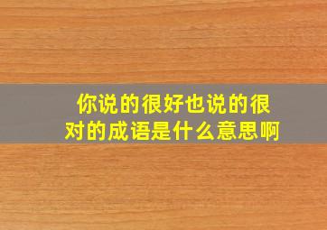 你说的很好也说的很对的成语是什么意思啊