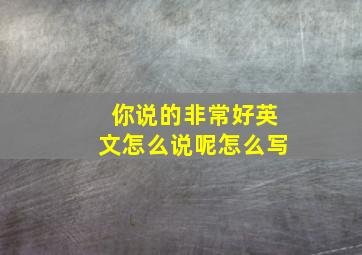 你说的非常好英文怎么说呢怎么写