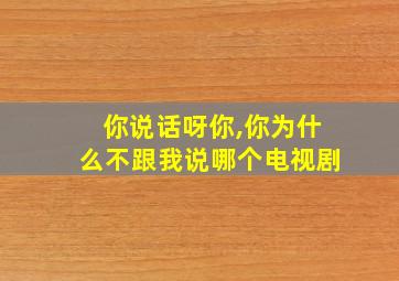 你说话呀你,你为什么不跟我说哪个电视剧