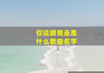 你说跟我走是什么歌曲名字