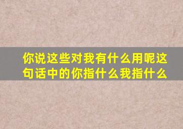 你说这些对我有什么用呢这句话中的你指什么我指什么