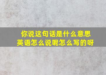 你说这句话是什么意思英语怎么说呢怎么写的呀