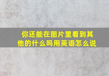 你还能在图片里看到其他的什么吗用英语怎么说