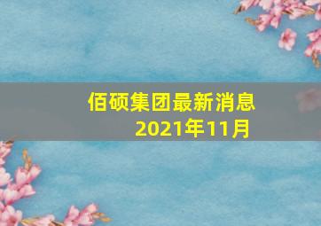 佰硕集团最新消息2021年11月