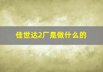 佳世达2厂是做什么的