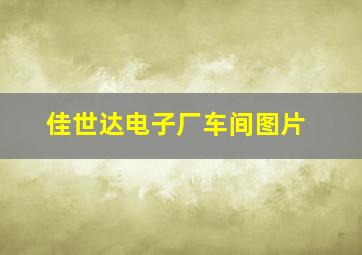 佳世达电子厂车间图片