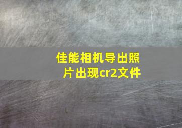 佳能相机导出照片出现cr2文件