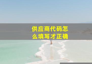 供应商代码怎么填写才正确