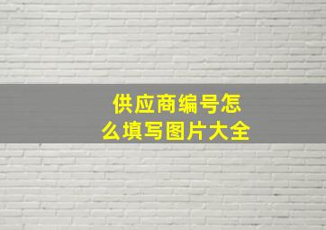 供应商编号怎么填写图片大全