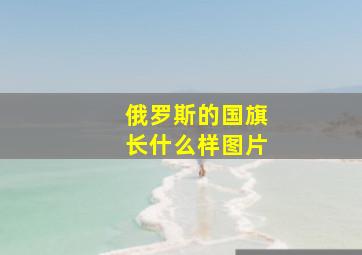 俄罗斯的国旗长什么样图片