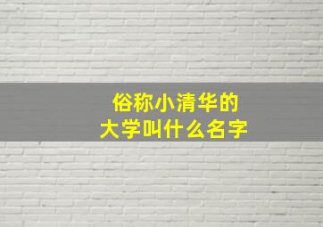 俗称小清华的大学叫什么名字