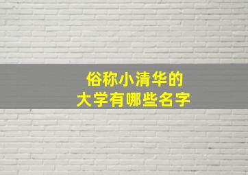 俗称小清华的大学有哪些名字