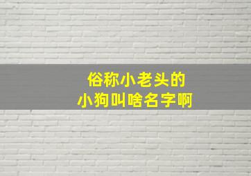 俗称小老头的小狗叫啥名字啊