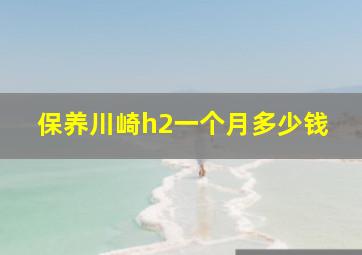 保养川崎h2一个月多少钱