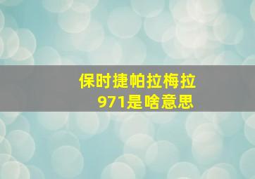 保时捷帕拉梅拉971是啥意思