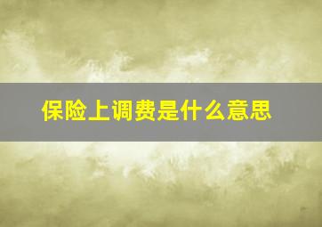 保险上调费是什么意思