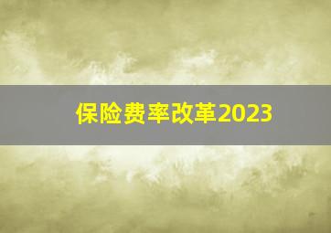 保险费率改革2023