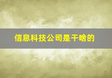 信息科技公司是干啥的