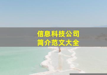 信息科技公司简介范文大全