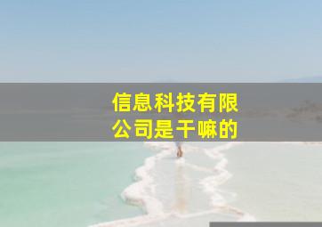 信息科技有限公司是干嘛的