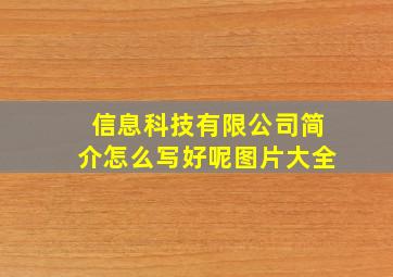 信息科技有限公司简介怎么写好呢图片大全