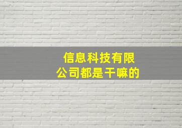 信息科技有限公司都是干嘛的