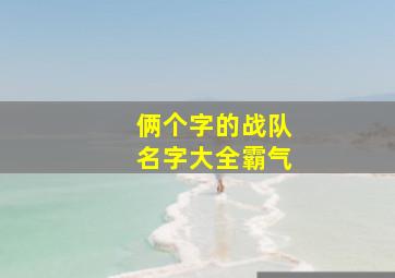 俩个字的战队名字大全霸气