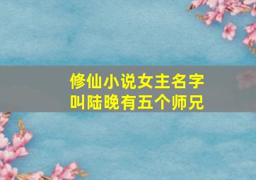 修仙小说女主名字叫陆晚有五个师兄