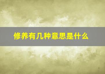 修养有几种意思是什么