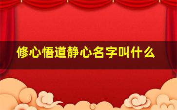 修心悟道静心名字叫什么