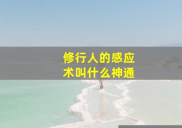 修行人的感应术叫什么神通