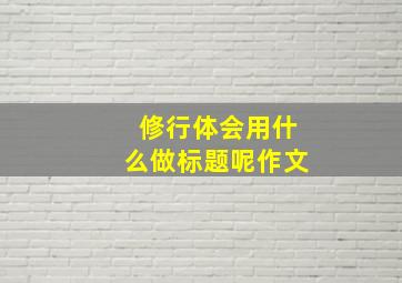 修行体会用什么做标题呢作文