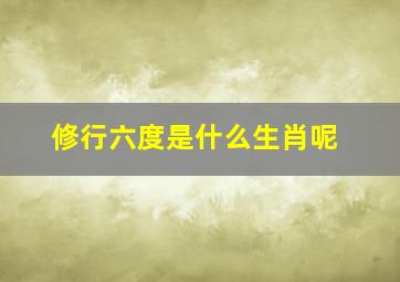 修行六度是什么生肖呢