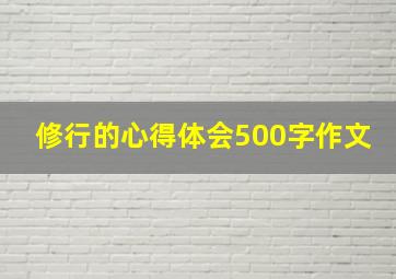 修行的心得体会500字作文