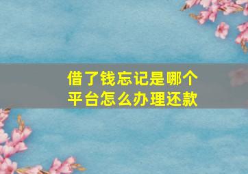 借了钱忘记是哪个平台怎么办理还款