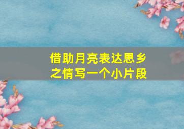 借助月亮表达思乡之情写一个小片段