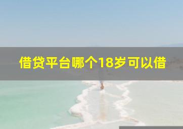 借贷平台哪个18岁可以借